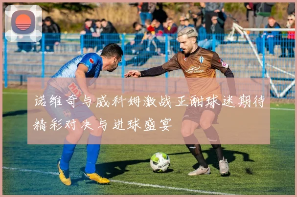 诺维奇与威科姆激战正酣球迷期待精彩对决与进球盛宴